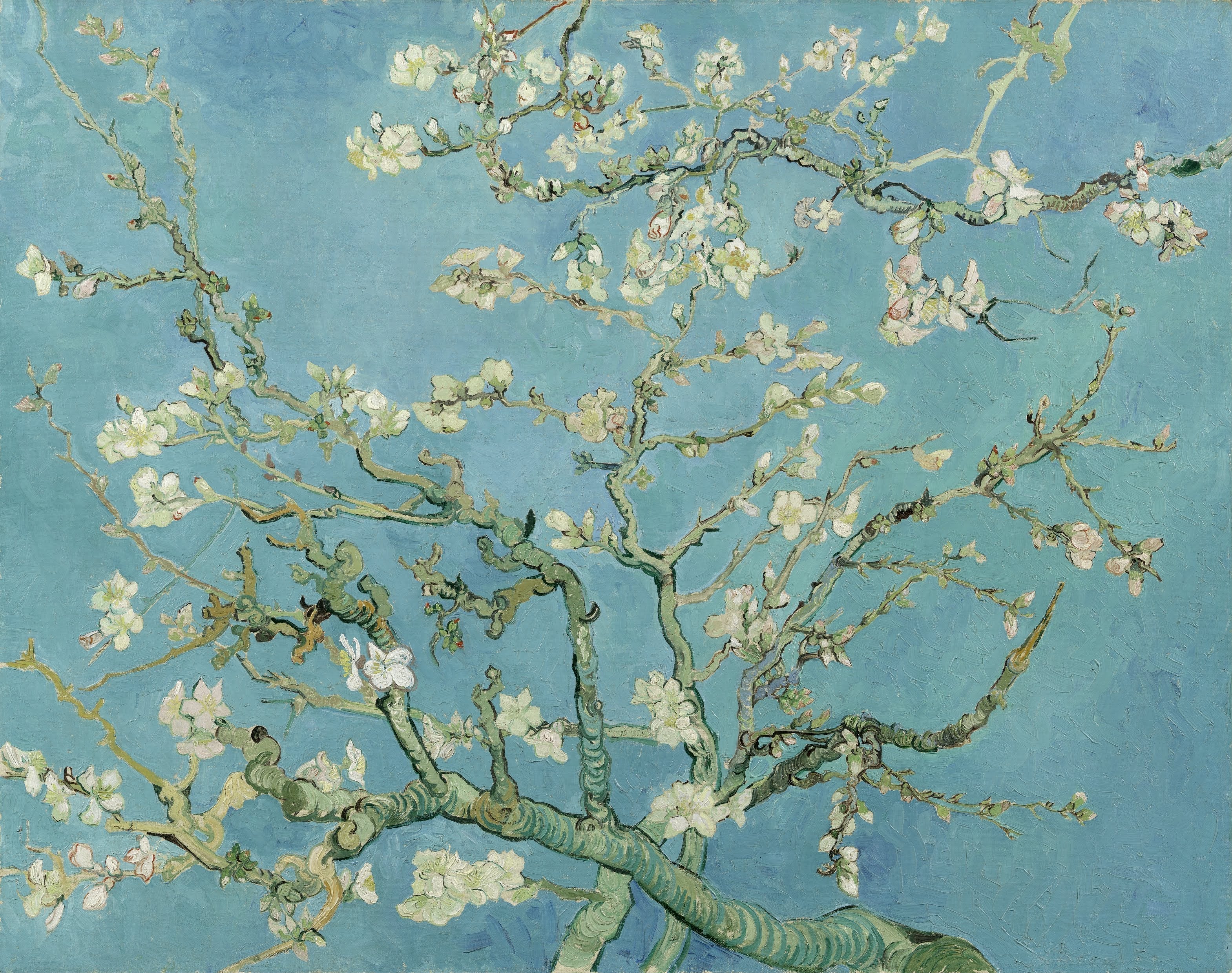 Van Gogh Almond Blossom shirt wearable art by Artoise