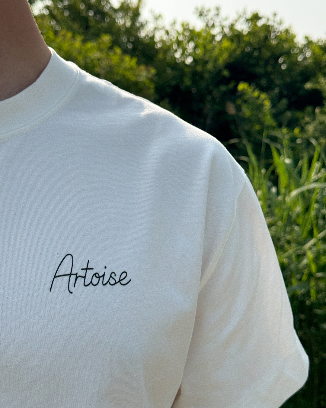 Picasso Artpiece