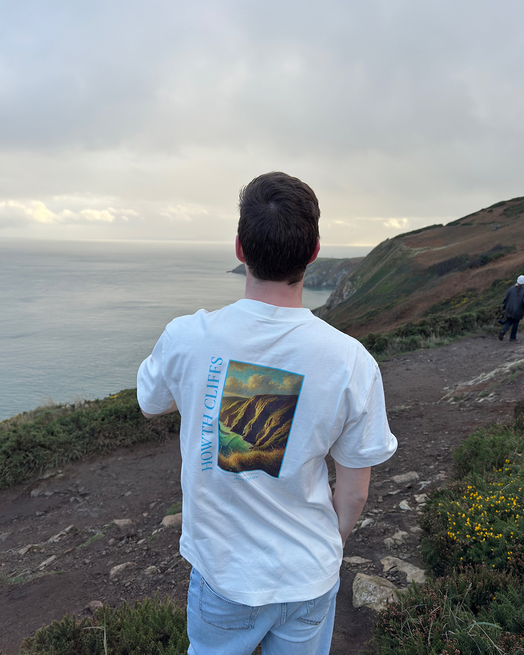 Howth Cliffs Artpiece