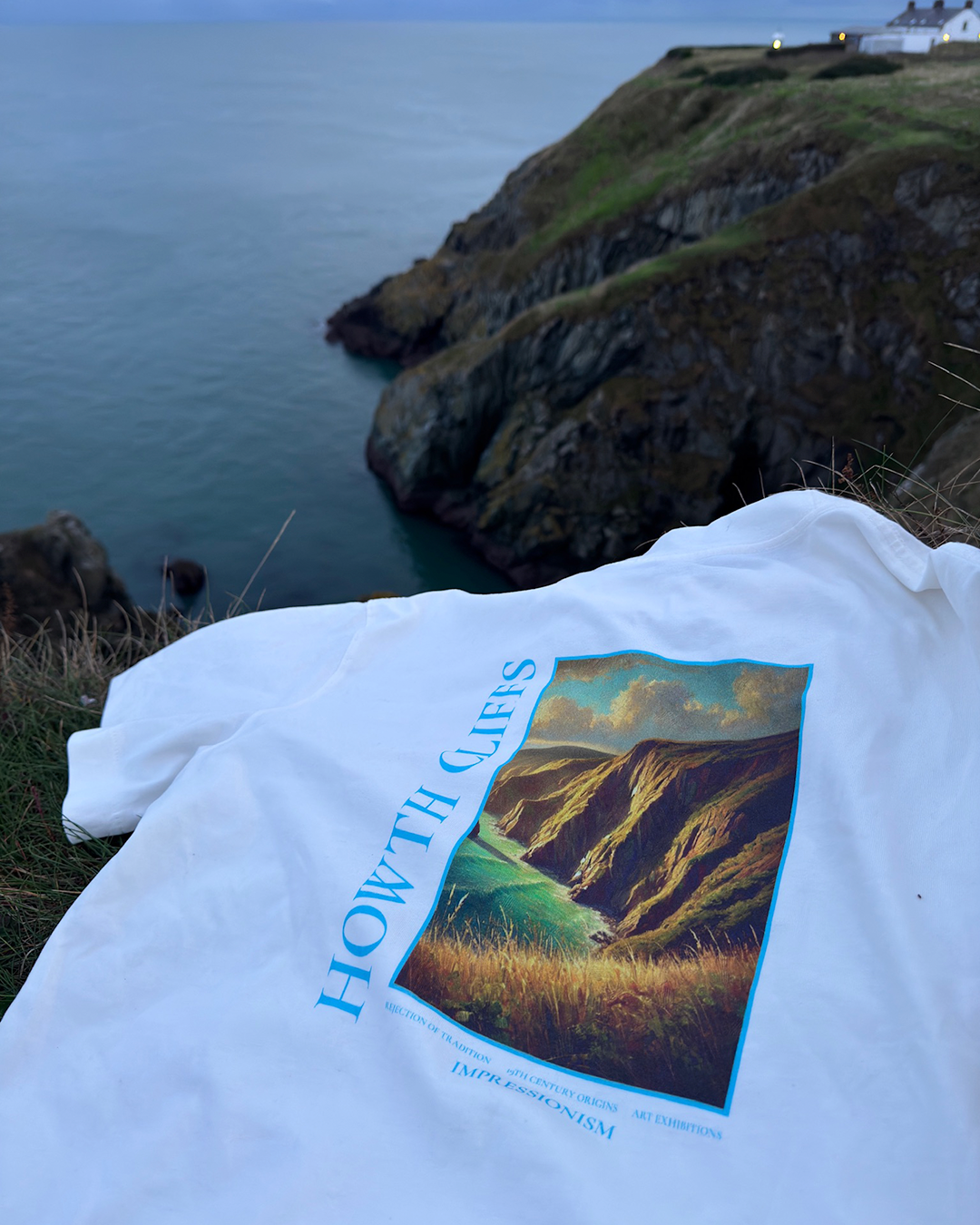 Howth Cliffs Artpiece
